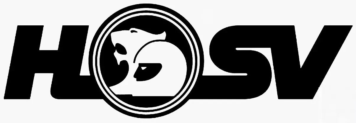 HSV HOLDEN DECAL 200MM X 67MM